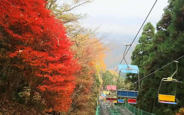 Mt. Takao cable car ascending through autumn foliage in Japan.