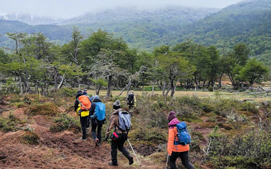 Hikers trekking through forest towards Vinciguerra Glacier and Témpanos Lagoon in Argentina.