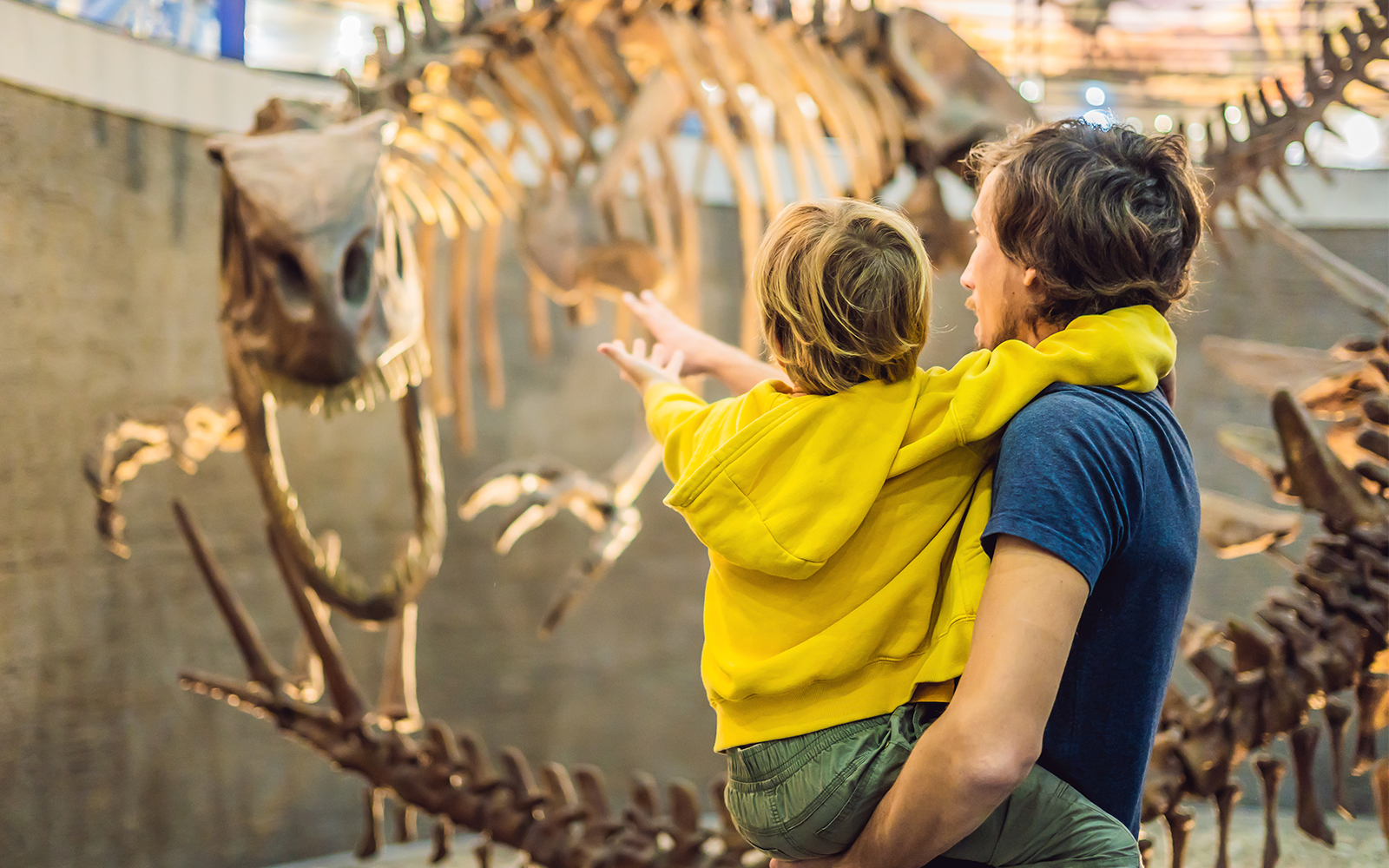 Ulster Museum Hop On Hop Off Belfast