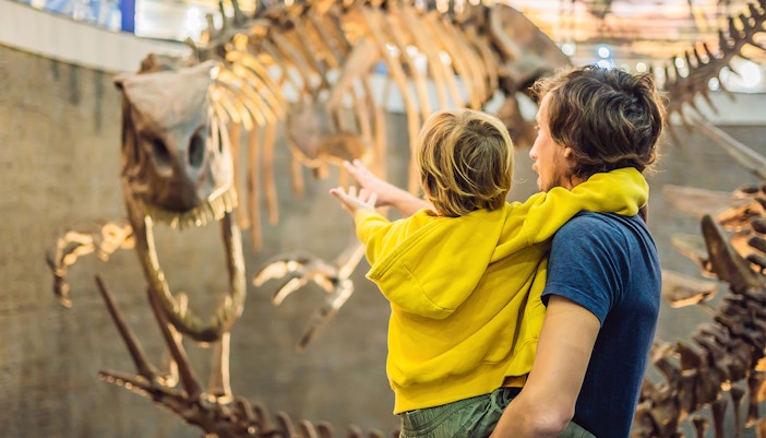 Ulster Museum Hop On Hop Off Belfast