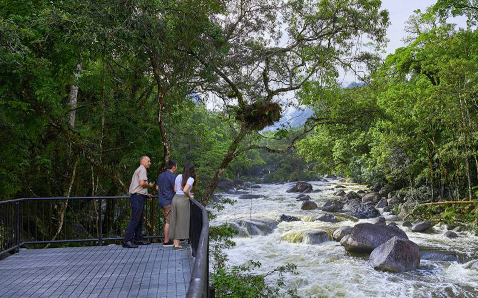 Visitors observing Mossman Gorge in Daintree Rainforest, Australia.