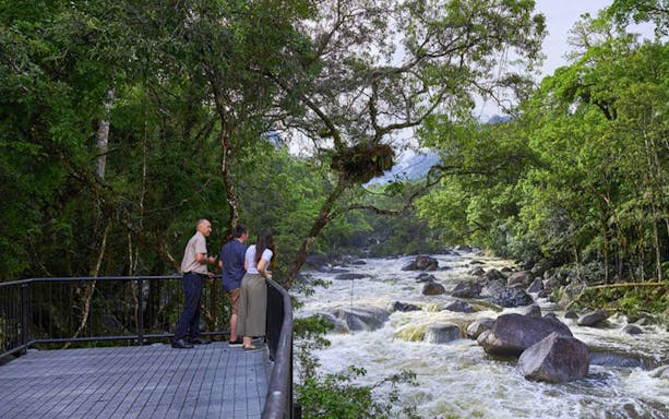 18499 - Cairns - Daintree Dreaming Tour: Aboriginal Art & Culture/Traditional Aboriginal Fishing - 03