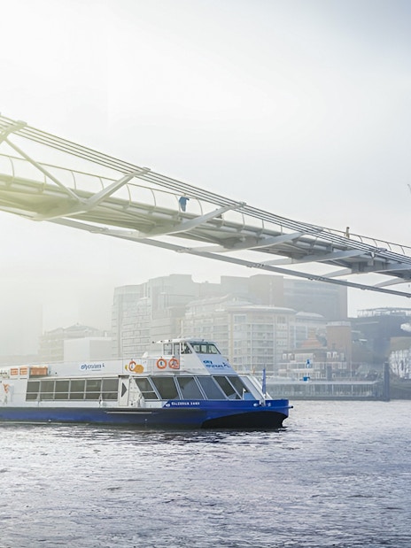 Sightseeing cruise on River Thames passing under Millennium Bridge, London.