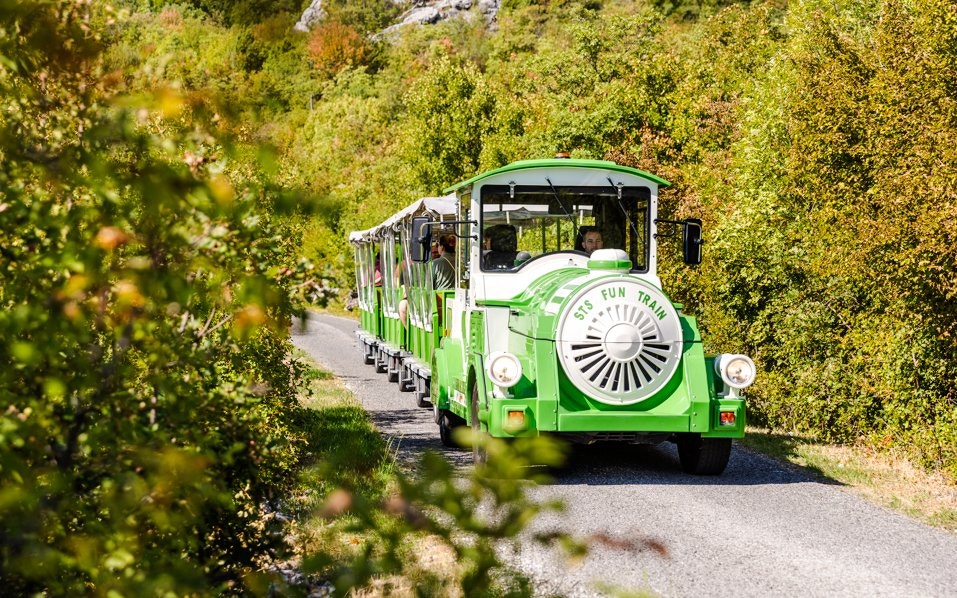 Cave train traveling through lush greenery near Lipa Cave, Cetinje.
