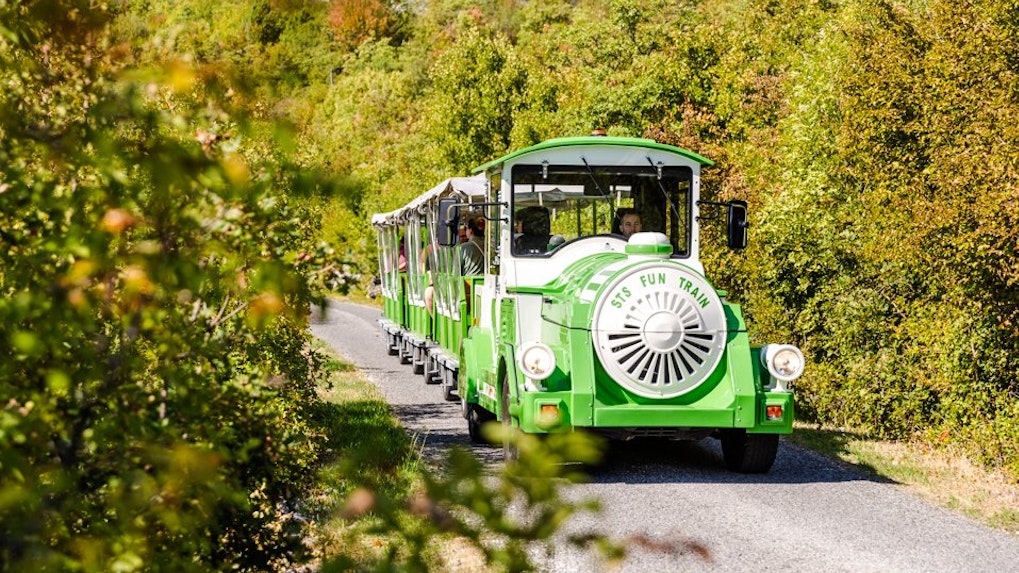 Cave train traveling through lush greenery near Lipa Cave, Cetinje.
