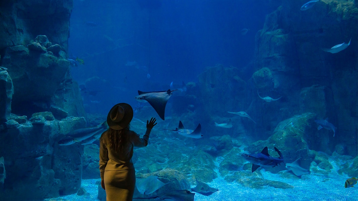Visitors exploring marine life exhibits at Istanbul Aquarium.