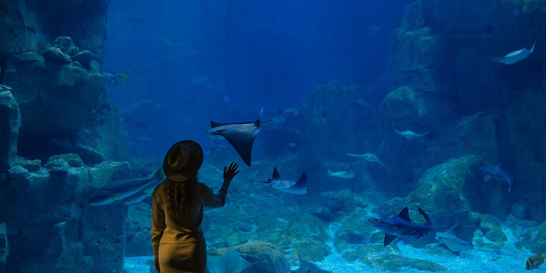 Aquarium Istanboel