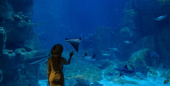 Istanbul Aquarium