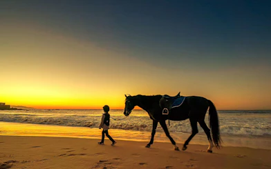 Child leading horse along Mnar beach at sunset during Tangier guided horseback ride.