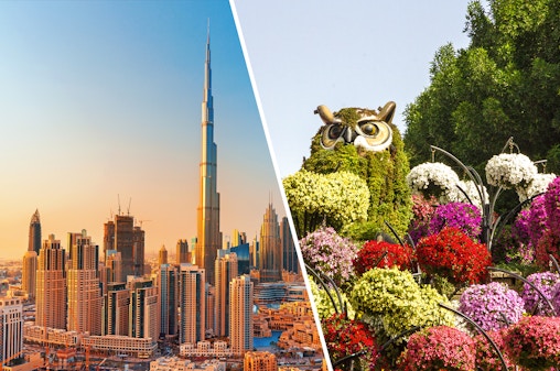 Combo (Réduction de 15 %) : Burj Khalifa + Dubai Miracle Garden