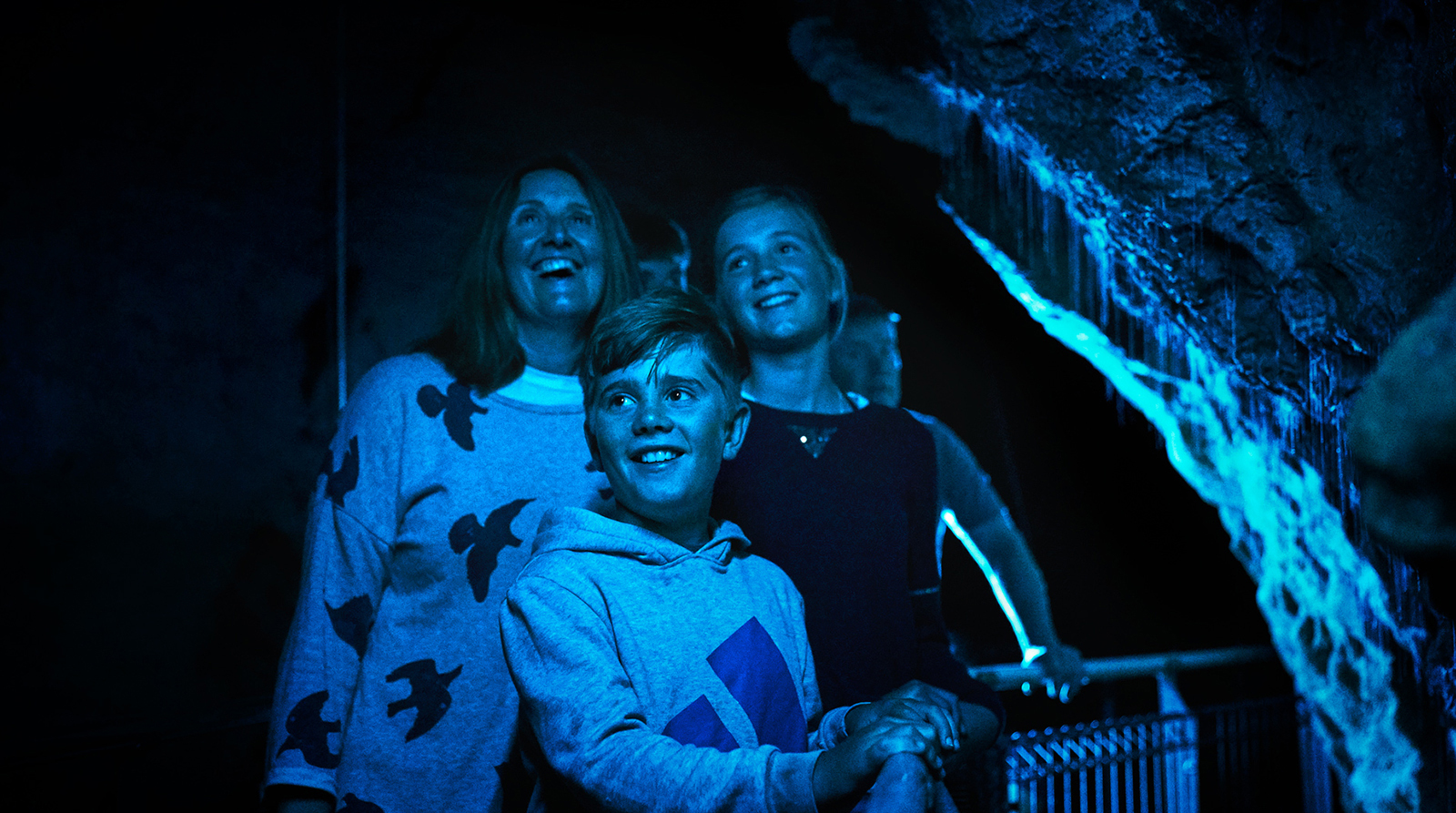 Ruakuri Cave limestone formations and illuminated pathways in New Zealand.