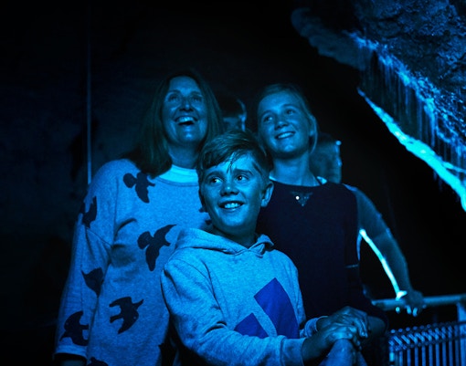 Ruakuri Cave limestone formations and illuminated pathways in New Zealand.