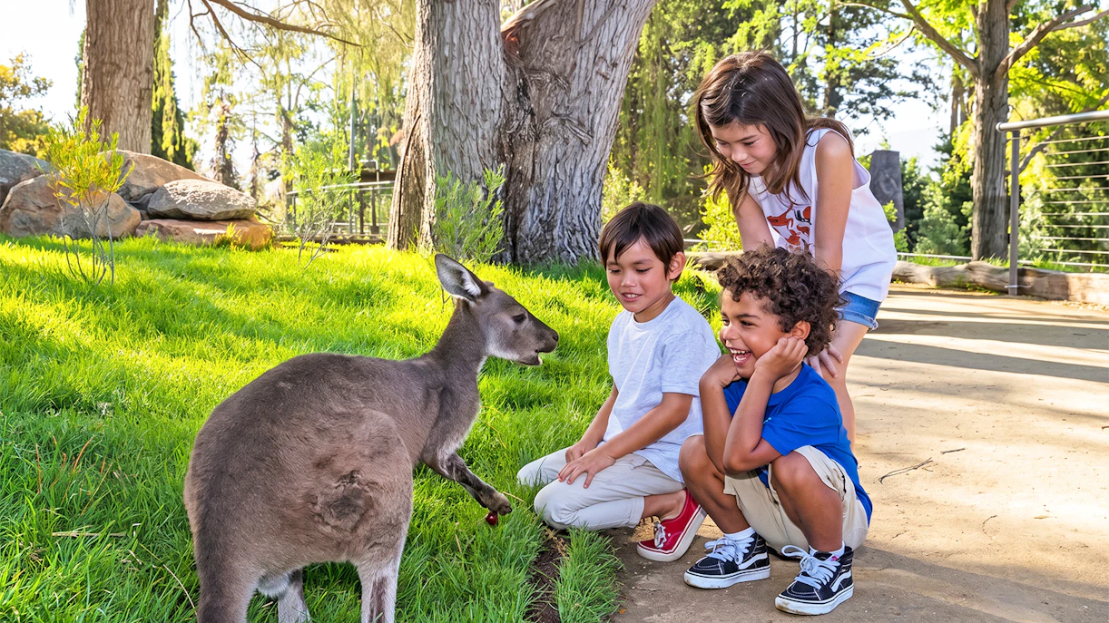 Seasonal opening hours at the San Diego Zoo