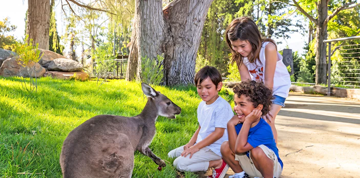 Children interacting with a kangaroo at San Diego Zoo Safari Park.
