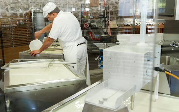 Cheesemaker pouring milk into vat during Engelberg cheese tasting tour.