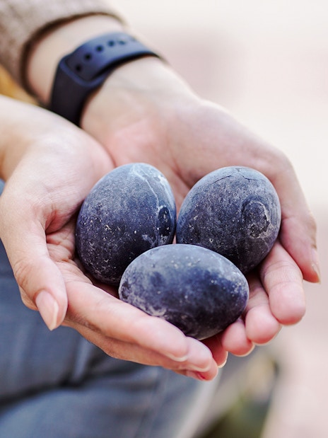 Hands holding black eggs boiled at Owakudani Valley, Hakone.
