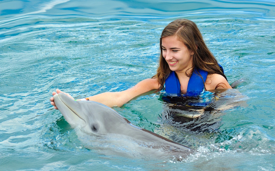 Girl interacting with dolphin at Pattaya Dolphinarium.