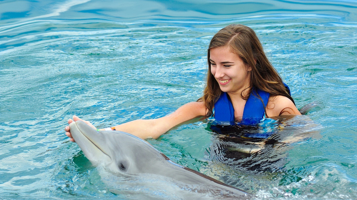 Dolphinarium Pattaya