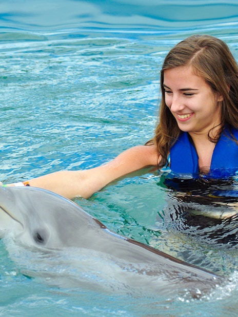 Girl interacting with dolphin at Pattaya Dolphinarium.