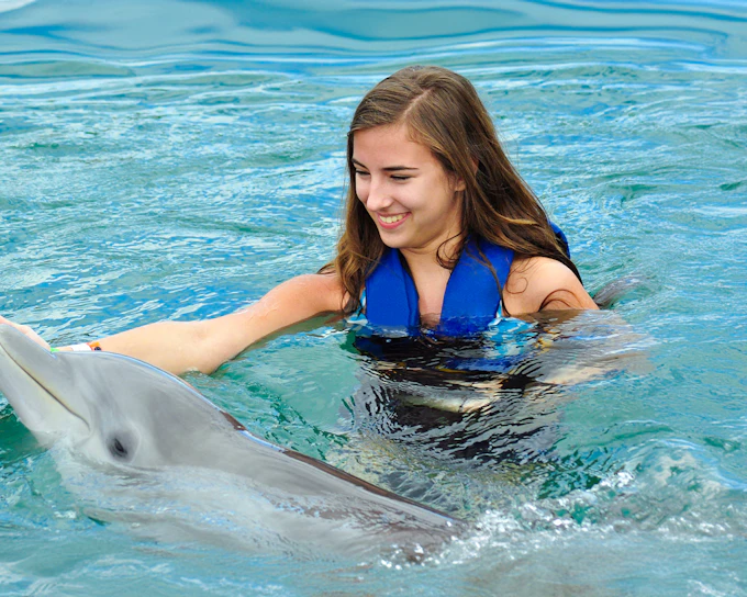 Dolphinarium Pattaya Tickets: Non-Thai Residents