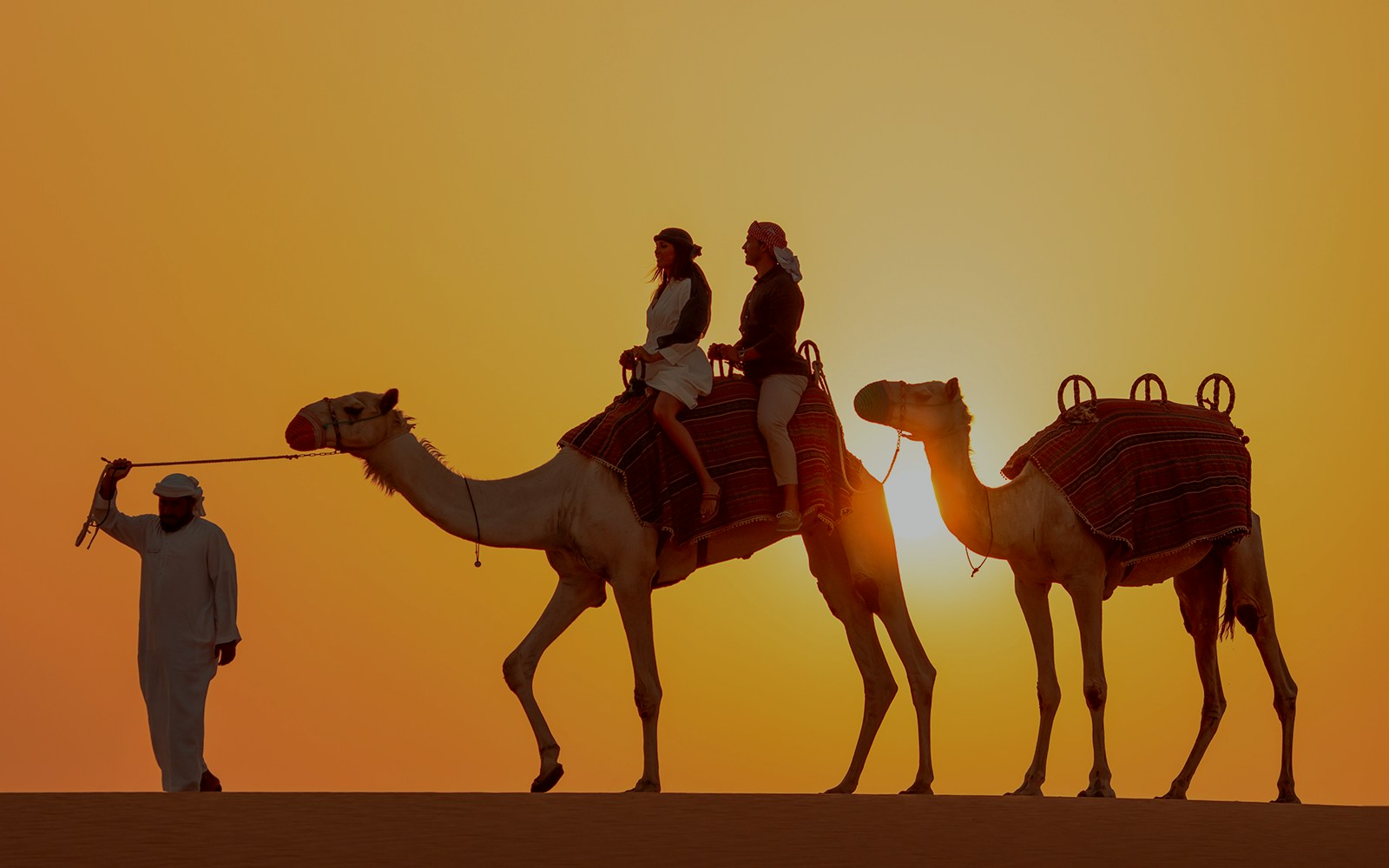 Tourists on camels led by a guide in the Dubai desert at sunset.