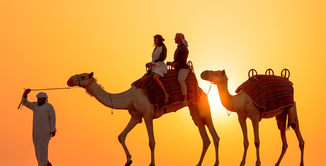 Book Camel Rides in Dubai