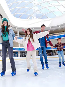American Dream: Indoor Ice Skating Rink Tickets