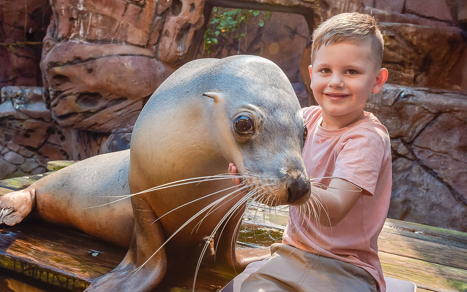 Child interacting with a seal at SEA LIFE Sunshine Coast.