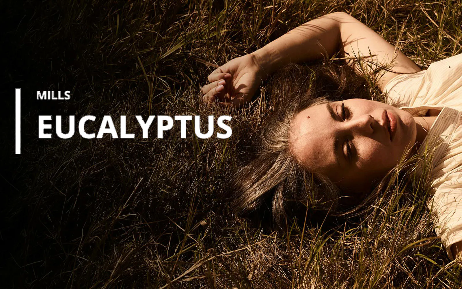Eucalyptus-themed artwork with person lying in grass near Sydney Opera House.