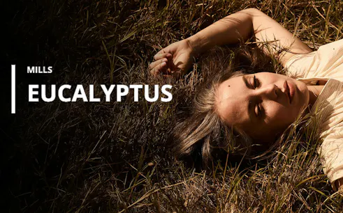 Eucalyptus-themed artwork with person lying in grass near Sydney Opera House.