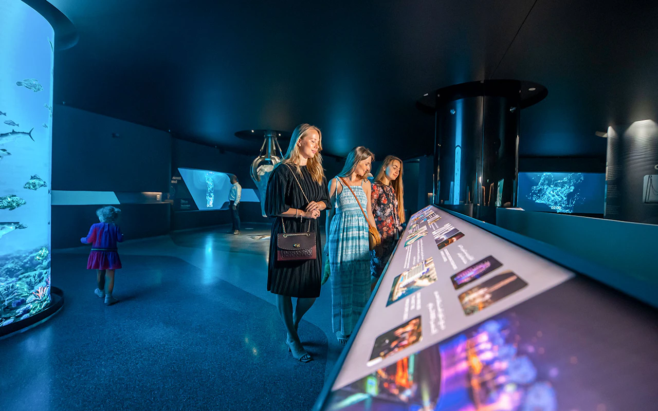 Kombi: The View at The Palm Observatory + Madame Tussauds Schnelleinlass-Eintrittstickets — 3