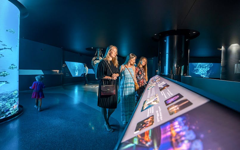 Visitors exploring interactive displays at The View At The Palm, Dubai.