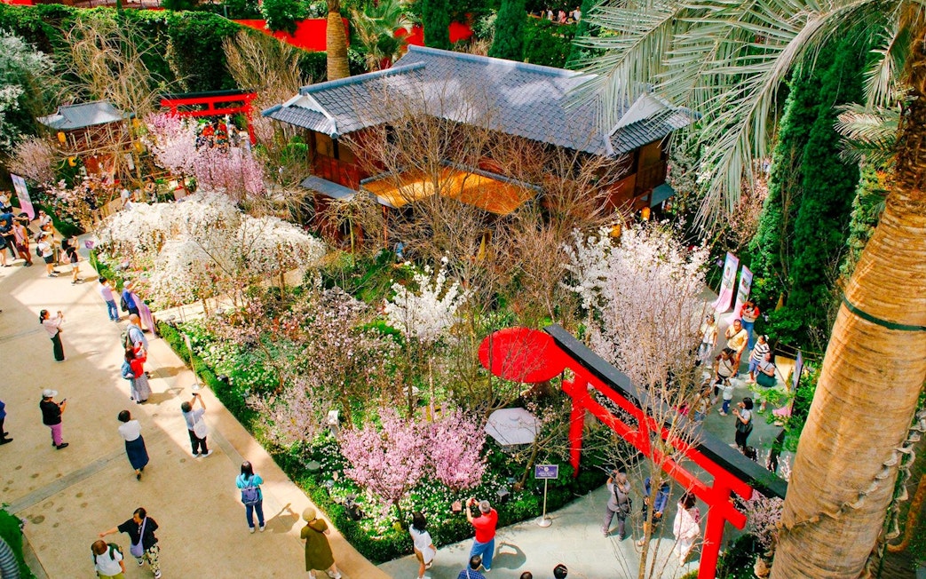 Gardens by the Bay Sakura event with cherry blossoms and traditional Japanese architecture.