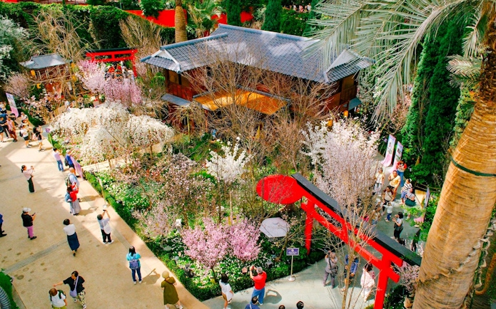 Gardens by the Bay Sakura event with cherry blossoms and traditional Japanese architecture.