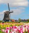 Zaanse Schans
