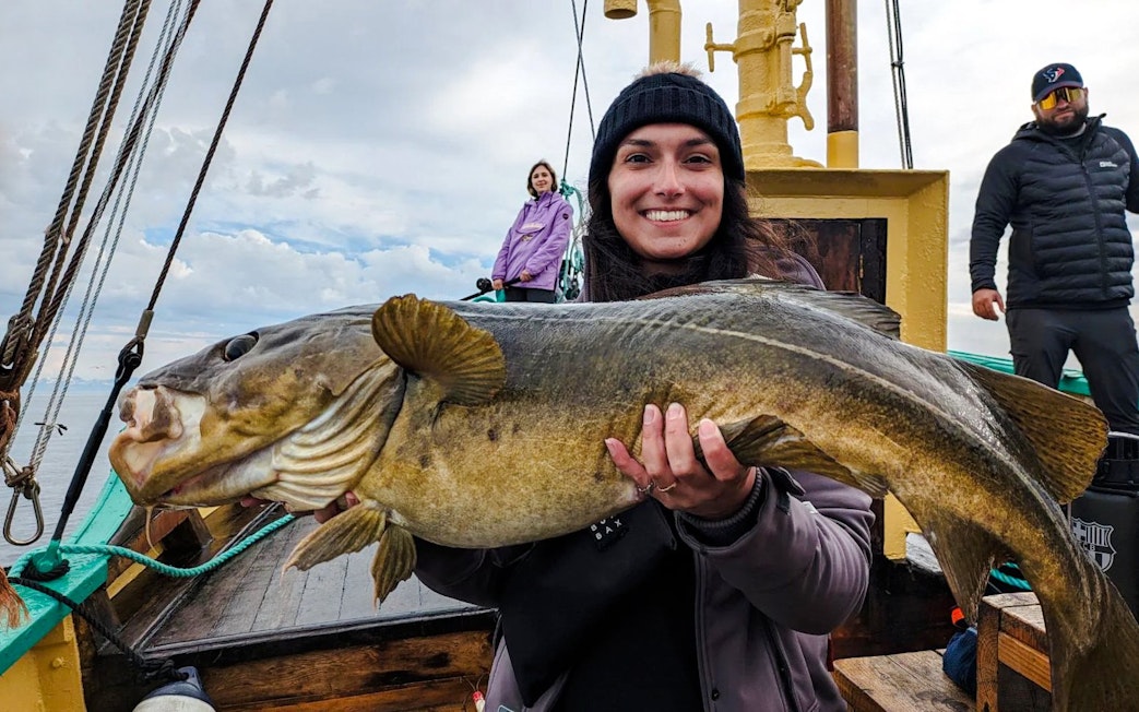 Woman holding Atlantic cod on fishing boat cruise, Lofoten.