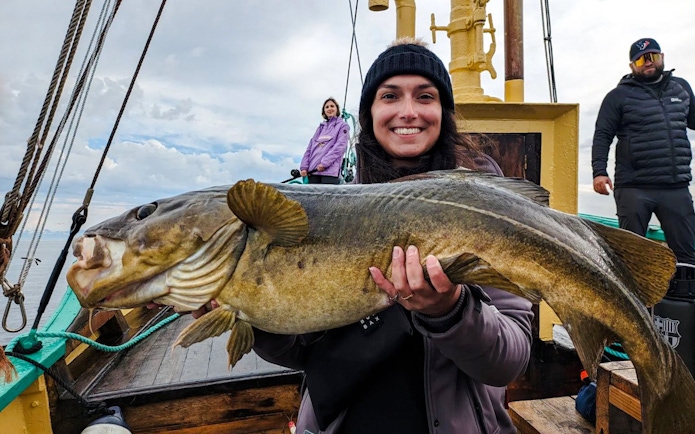 Woman holding Atlantic cod on fishing boat cruise, Lofoten.