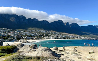 da città del capo: tour del capo di buona speranza e di cape point con i pinguini di boulders beach-5