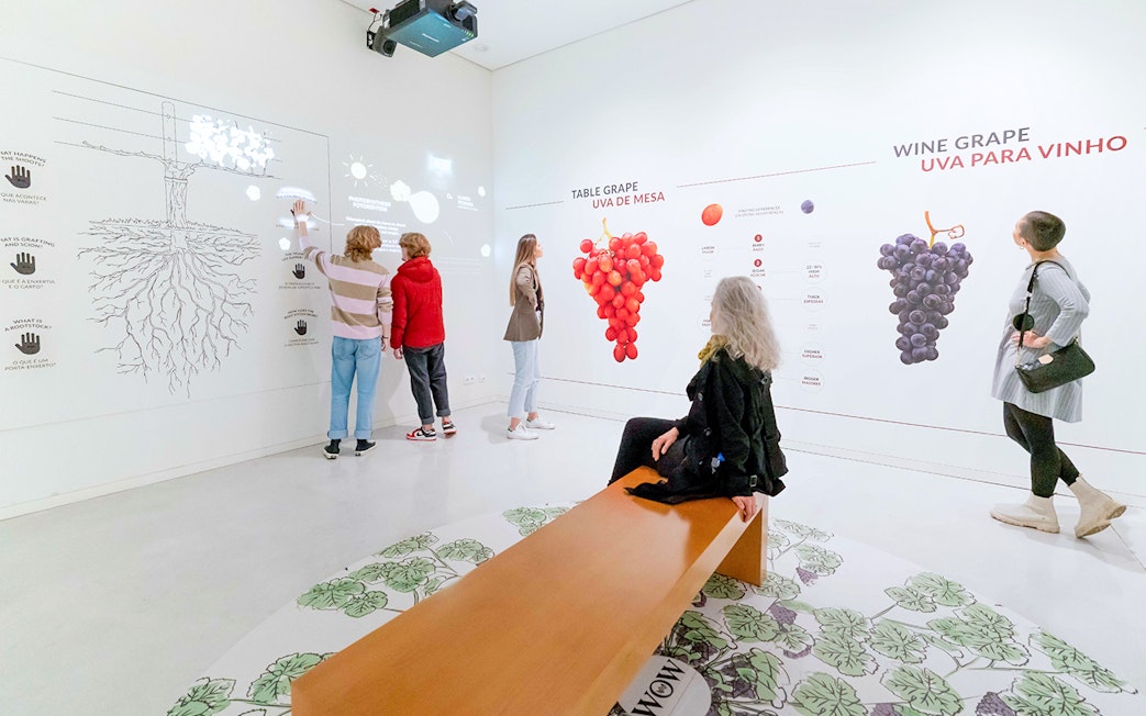 Visitors exploring grape exhibits at The Wine Experience.