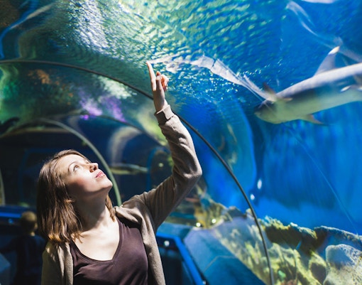 Zone 3: Tropical oceans