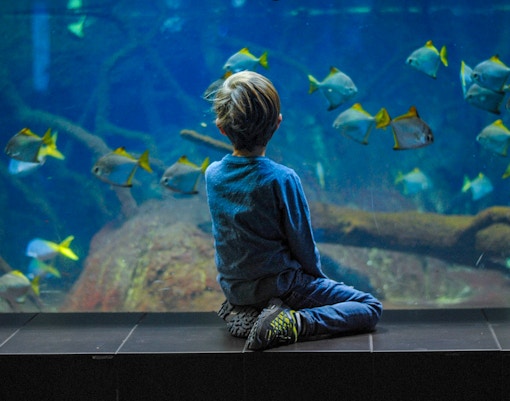 Underwater City - S.E.A Aquarium