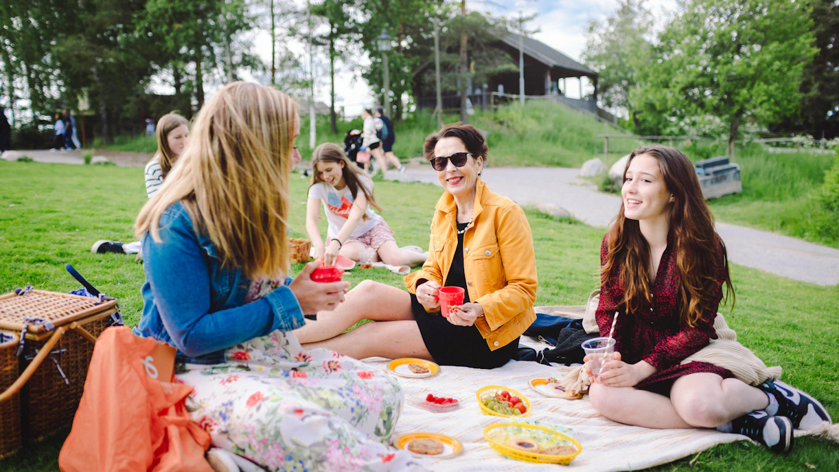 Picnic inside Skansen