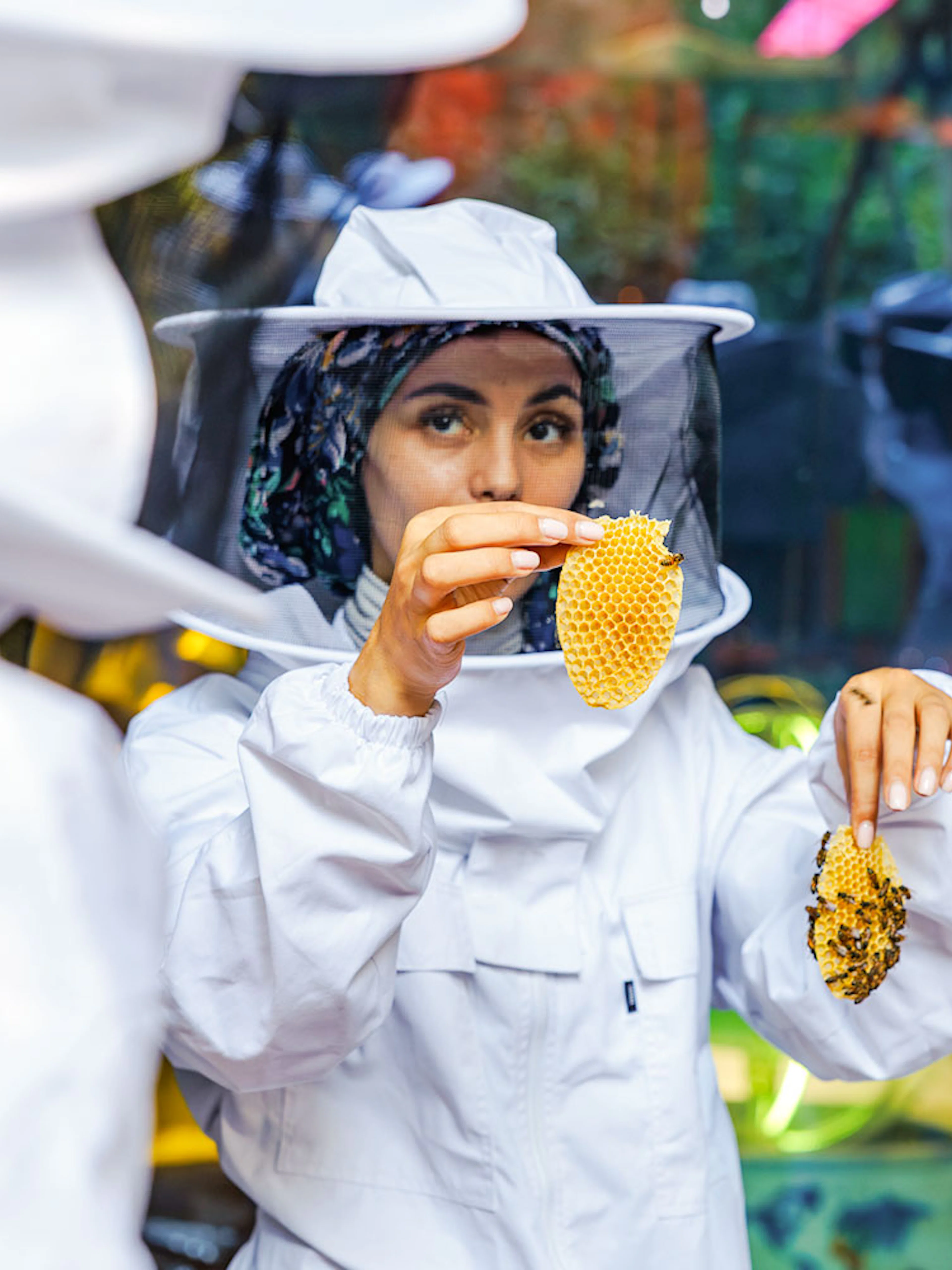 Beekeeping demonstration at Terra, Expo City Dubai with honeycomb.
