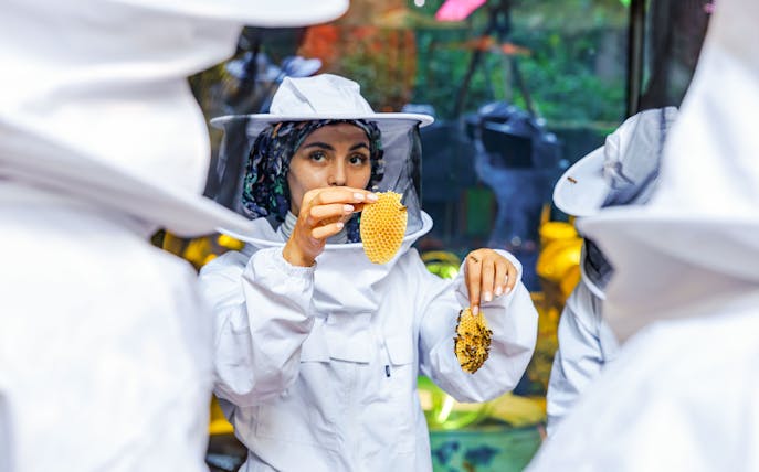 Beekeeping demonstration at Terra, Expo City Dubai with honeycomb.