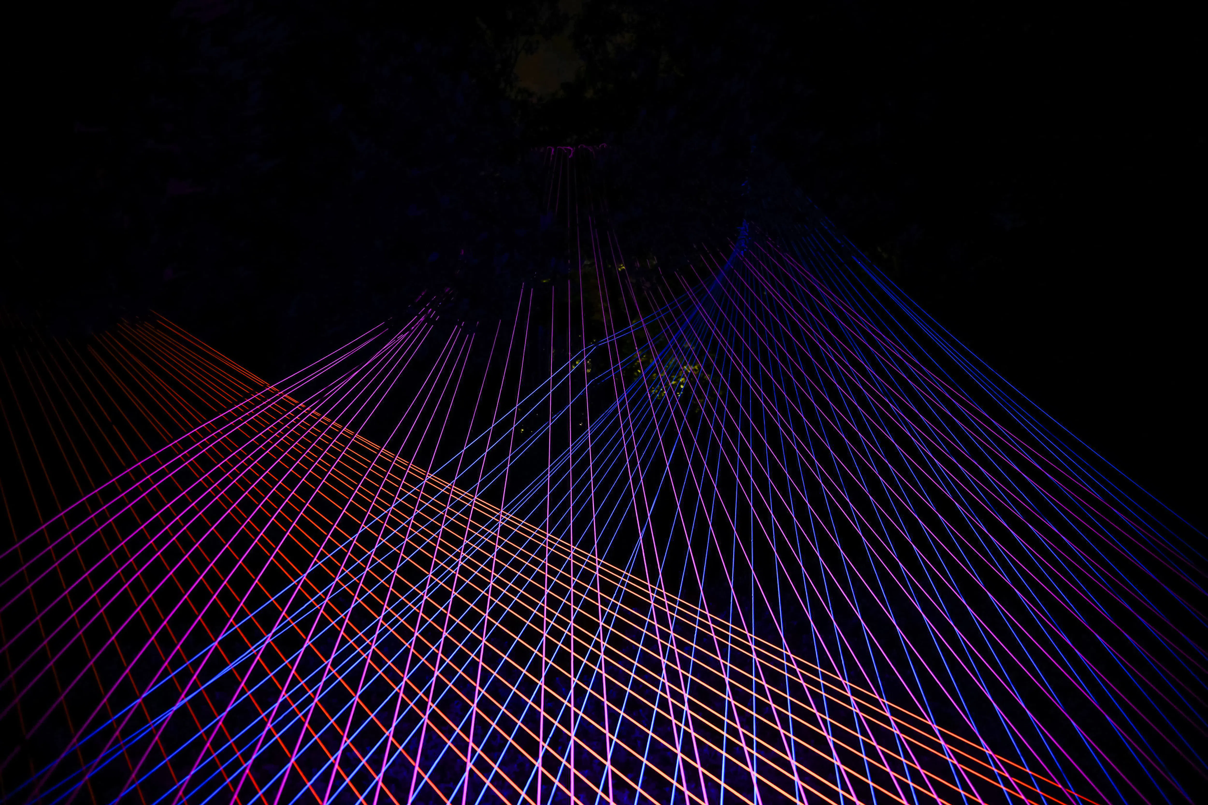 billetter til «serralves in light 2026»-16