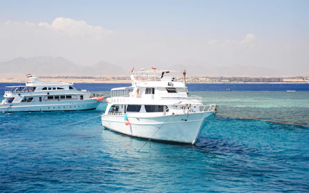 From Sharm El Sheikh: Tiran Island Cruise with Diving, Snorkeling & Lunch