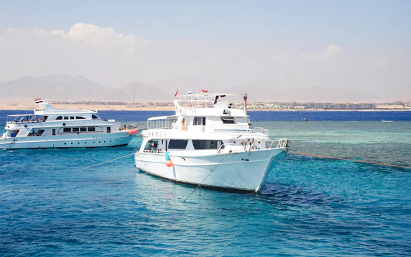 From Sharm El Sheikh: Tiran Island Cruise with Diving, Snorkeling & Lunch