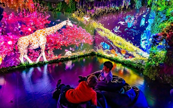 Children observing a vibrant giraffe illusion at Big Fun Museum & Museum of Illusions.