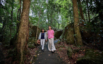 cassowary coast – goondoi-kulturerlebnis-9