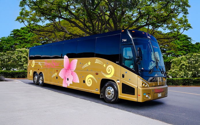 Royal Star Hawaii tour bus with floral design parked under trees.